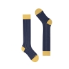 Calza Lunga Pinstripes Pop